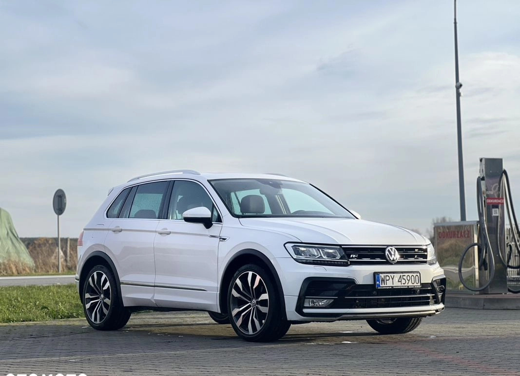 Volkswagen Tiguan cena 95600 przebieg: 190000, rok produkcji 2016 z Jedwabne małe 277